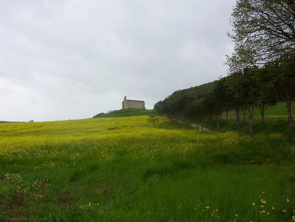 Agriturismo La Pieve Коле Вал д'Елза Екстериор снимка