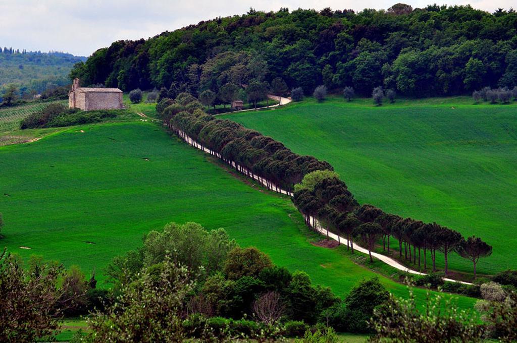 Agriturismo La Pieve Коле Вал д'Елза Екстериор снимка