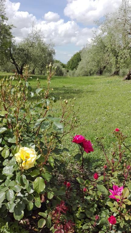 Agriturismo La Pieve Коле Вал д'Елза Екстериор снимка